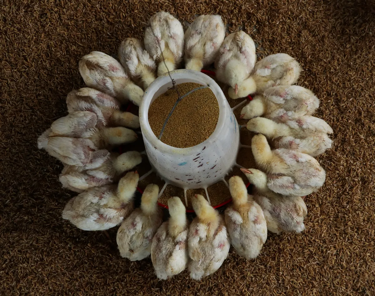 Tartım ve kayıt